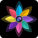 Gallery APK