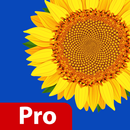 Gallery Pro Hide Photo Video APK