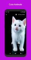 VideoHub - Video Live Wallpape 截圖 2