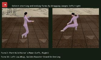 Tai Chi Yang 24 Form screenshot 1