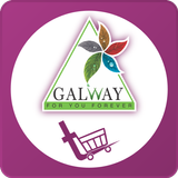 Galwaykart icône