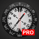 Compass PRO APK