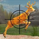 Animal Hunting Dinosaur Games APK