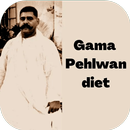 Gama pehlwan diet APK