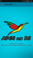 Aves no Sul poster