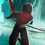 Ninja Knight:  Shadow Assasin