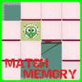 Match Memory Super