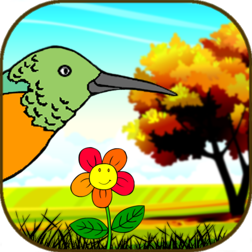 Colibri (Hummingbird)