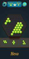 Block Puzzle screenshot 1