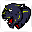 Pup And Bgm Gfx Tool 90 Fps APK
