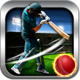 Cricket Champs League icône