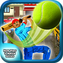 Cricket Street Cup Game APK