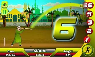 Ramzan Cricket capture d'écran 3