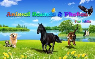 Animal Sounds&Photos for Kids Affiche