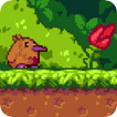 Kiwi's Life : Adventure game f
