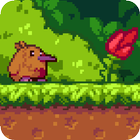 Kiwi's Life : Adventure game f أيقونة