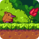Kiwi's Life : Adventure game f أيقونة