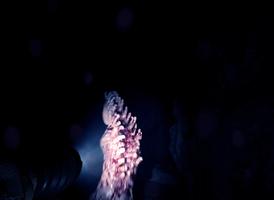 sons of the forest mobile 2023 captura de pantalla 2