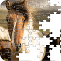 Pony Horse Game Puzzle
