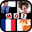 Jeu de mots en Français - 4 Im APK