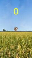 Sweet Bird poster