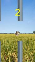 Sweet Bird screenshot 2
