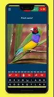 Bird Guessing Fun Trivia постер