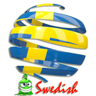 Game to learn Swedish icône