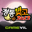 정통맞고 2012 아이콘