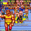 WWF WrestleFest Arcade