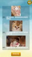 猫的一生重启模拟器 تصوير الشاشة 1