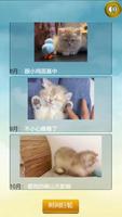 猫的一生重启模拟器 تصوير الشاشة 3