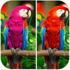 Spot Difference - Bird Puzzle ไอคอน