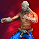 Street Taken Fighter APK