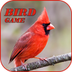 Flying bird APK