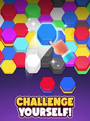 Hexa Sort screenshot 14