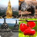 Tebak Gambar APK