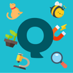 Quiz: Sciences