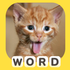 Pic Word Brain English Quiz APK