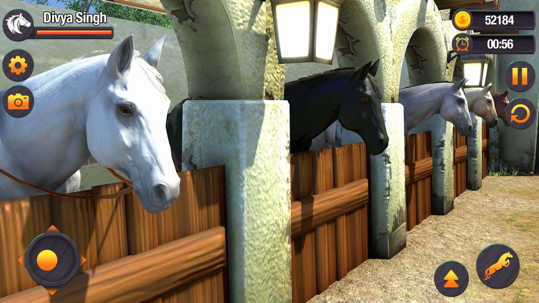 Сюжет игры my Horse Price