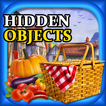 Hidden Object : Property