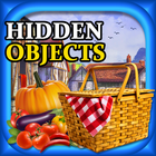 Hidden Object : Property icon