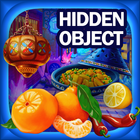 hidden object : Discover icône