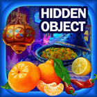 hidden object : Discover-icoon