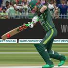 World Champions Cricket Games icône