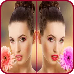 Find Differences Pro APK download