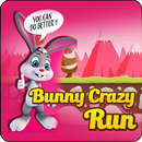 Bunny Crazy Run APK