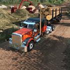 Truck Freight Transport Big Driving Simulator icône