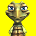 My 3d Turtle