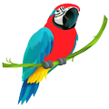 Bird poultry